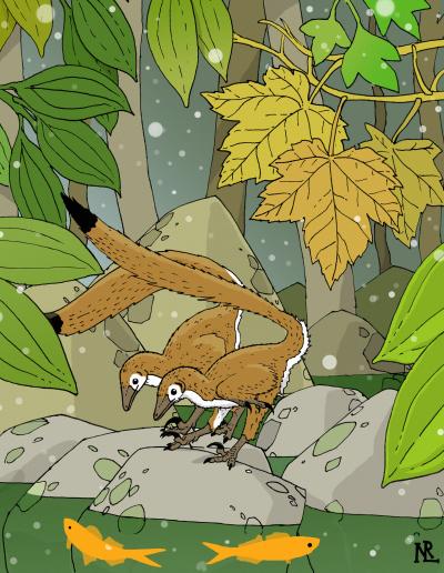 Hesperonychus elizabethae Hesperonychus elizabethae